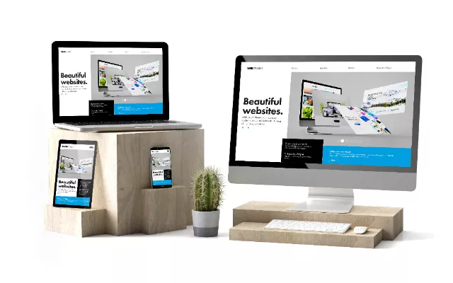 Responsive Website